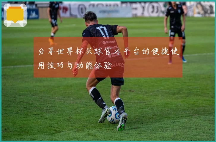 分享世界杯买球官方平台的便捷使用技巧与功能体验