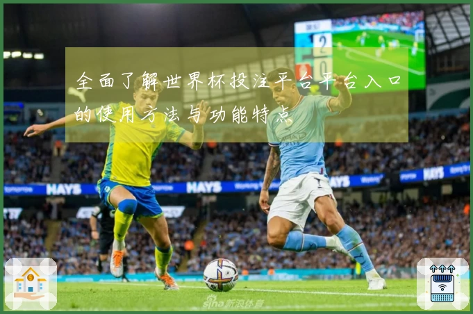 全面了解世界杯投注平台平台入口的使用方法与功能特点
