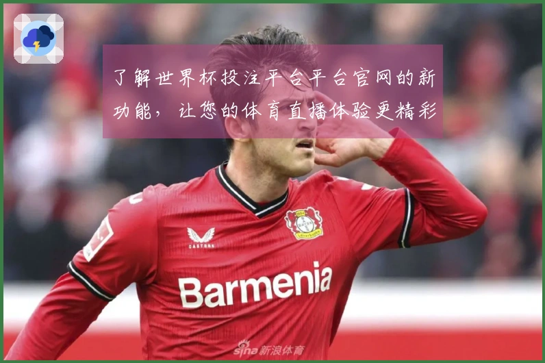 了解世界杯投注平台平台官网的新功能,让您的体育直播体验更精彩!