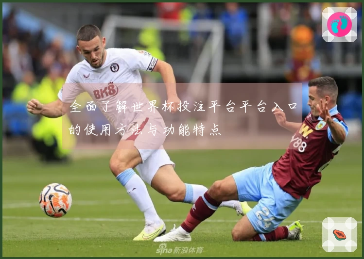 全面了解世界杯投注平台平台入口的使用方法与功能特点