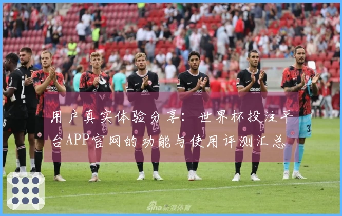 用户真实体验分享：世界杯投注平台APP官网的功能与使用评测汇总