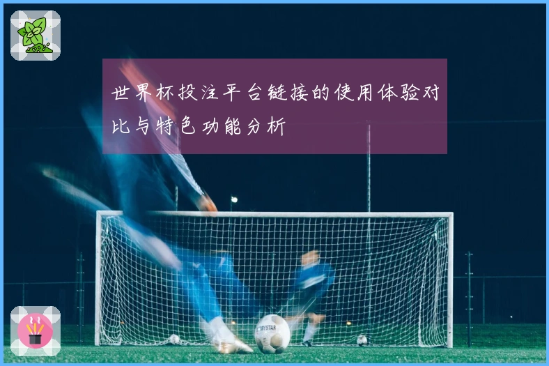 世界杯投注平台链接的使用体验对比与特色功能分析