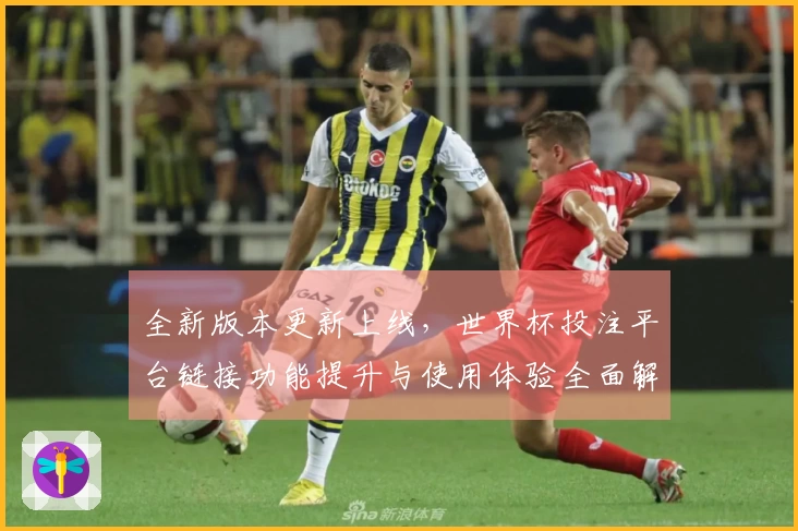 全新版本更新上线，世界杯投注平台链接功能提升与使用体验全面解析