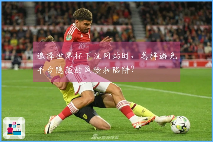 选择世界杯下注网站时，怎样避免平台隐藏的风险和陷阱？