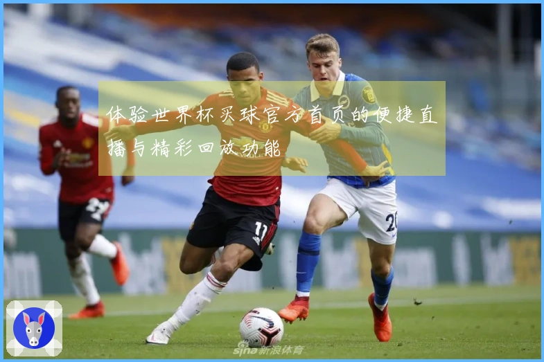 体验世界杯买球官方首页的便捷直播与精彩回放功能