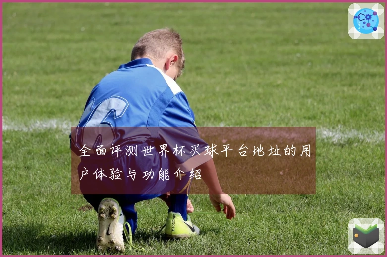 全面评测世界杯买球平台地址的用户体验与功能介绍