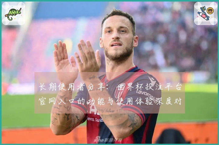 长期使用者分享：世界杯投注平台官网入口的功能与使用体验深度对比