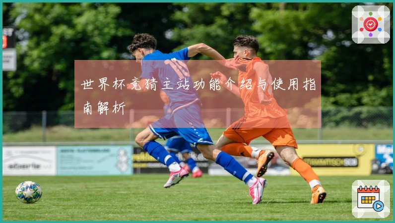 世界杯竞猜主站功能介绍与使用指南解析