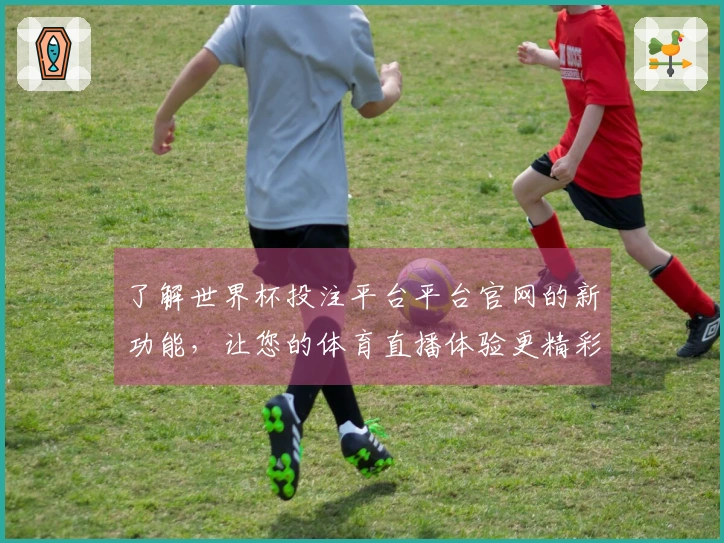 了解世界杯投注平台平台官网的新功能，让您的体育直播体验更精彩！