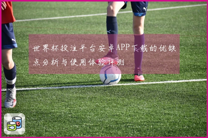 世界杯投注平台安卓APP下载的优缺点分析与使用体验评测