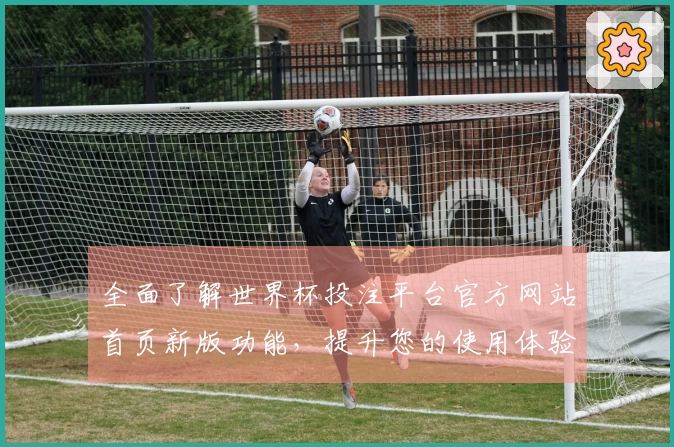 全面了解世界杯投注平台官方网站首页新版功能，提升您的使用体验