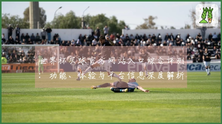 世界杯买球官方网站入口综合评测:功能、体验与平台信息深度解析