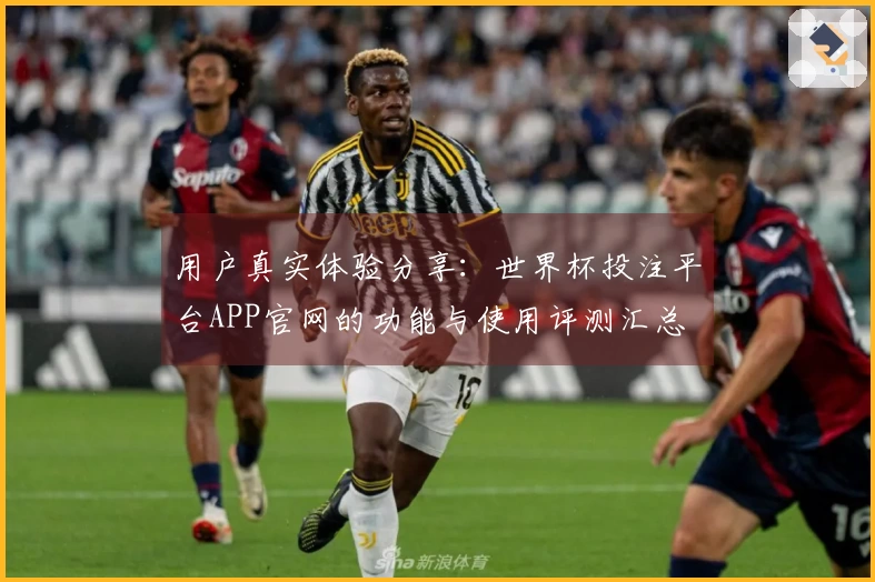 用户真实体验分享：世界杯投注平台APP官网的功能与使用评测汇总