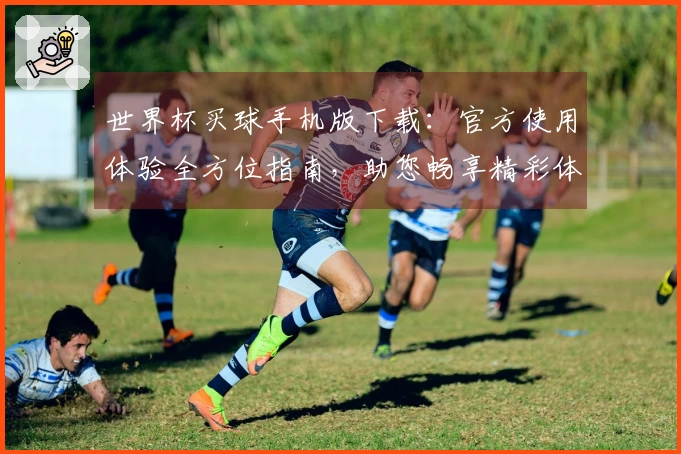 世界杯买球手机版下载：官方使用体验全方位指南，助您畅享精彩体育赛事