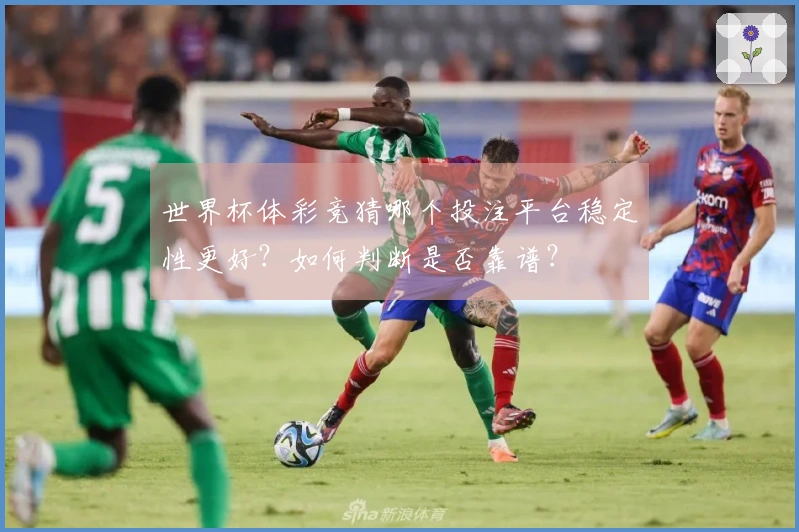 世界杯体彩竞猜哪个投注平台稳定性更好？如何判断是否靠谱？