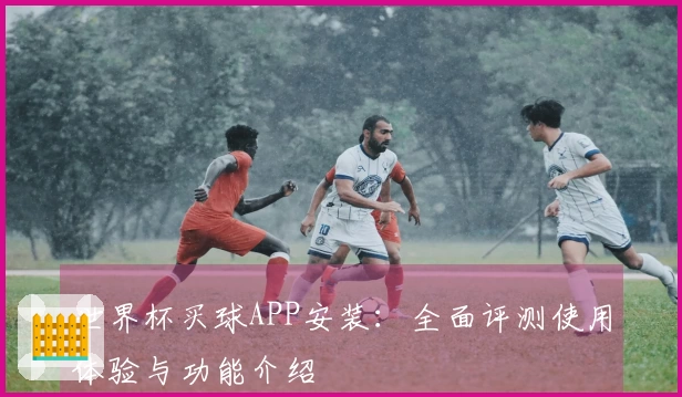 世界杯买球APP安装：全面评测使用体验与功能介绍