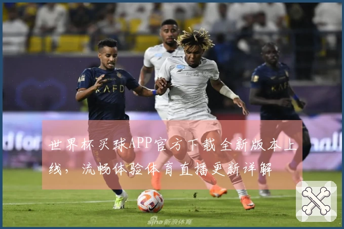 世界杯买球APP官方下载全新版本上线，流畅体验体育直播更新详解
