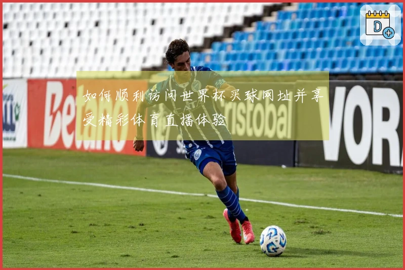 如何顺利访问世界杯买球网址并享受精彩体育直播体验