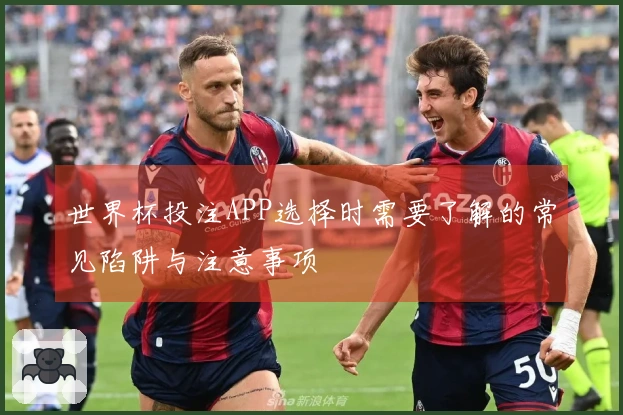 世界杯投注APP选择时需要了解的常见陷阱与注意事项