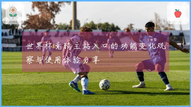 世界杯竞猜主站入口的功能变化观察与使用体验分享
