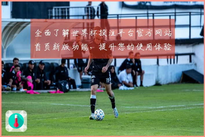 全面了解世界杯投注平台官方网站首页新版功能，提升您的使用体验