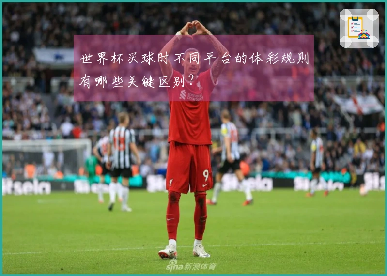 世界杯买球时不同平台的体彩规则有哪些关键区别？
