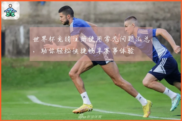 世界杯竞猜注册使用常见问题汇总，助你轻松快捷畅享赛事体验