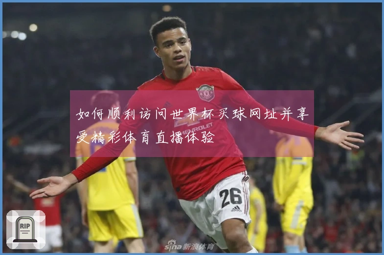 如何顺利访问世界杯买球网址并享受精彩体育直播体验